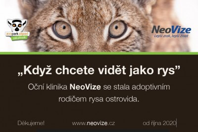 „Vidět jako rys" se říká o pacientech, kteří dobře vidí. NeoVize proto podporuje rysa v Zooparku Zájezd.